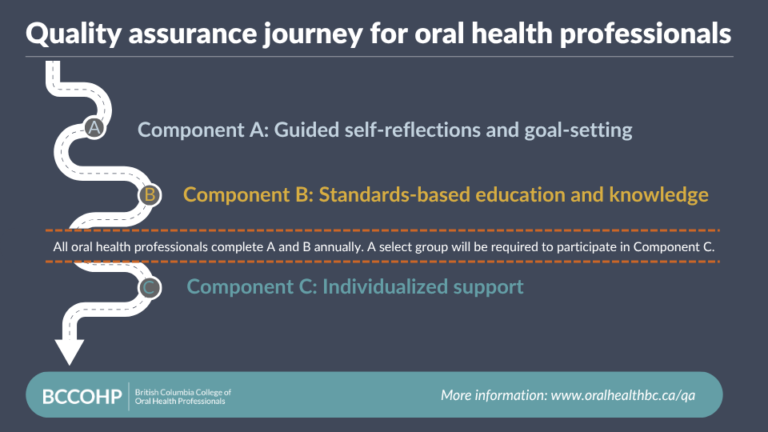 Quality Assurance Journey map. The components are explained below.